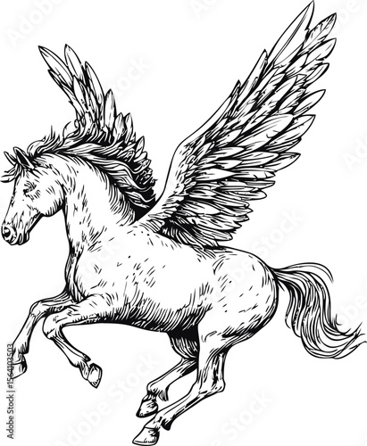 Black and white illustration of a detailed majestic winged horse flying. Vector illustration in sketch style