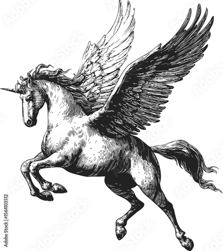 Black and white illustration of a flying unicorn with wings, magical creature. Vector illustration in sketch style
