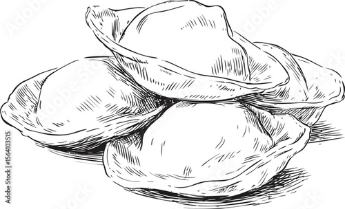Illustration of hand-drawn dumplings in black and white sketch style. Vector illustration