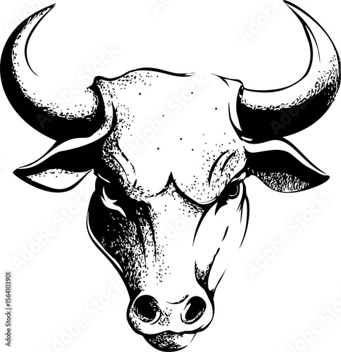 Black and white ink illustration of a bull's head with sharp horns. Vector illustration in sketch style