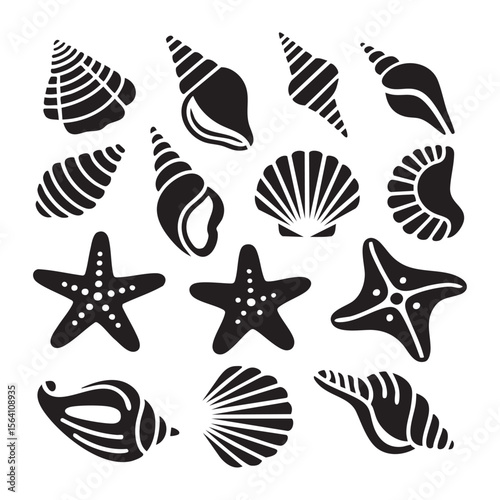 Black And White Sea Shells And Starfish Vector Illustration Sea Life Graphic Resources Summer Beach Seaside Elements Set