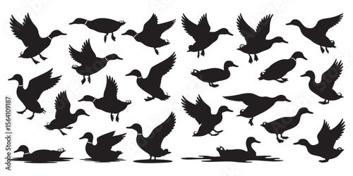 Duck Silhouette Vector Set,Flying And Swimming Poses,Bird Wildlife Collection,Simple Style,Different Angles,Isolated On White Background,Nature Elements,Illustration