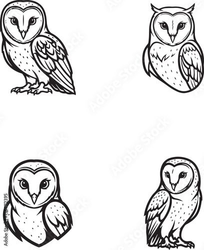 vector illustration of barn owl bird
