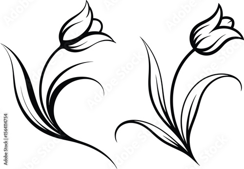 Elegant black and white line art of two stylized tulips with flowing leaves