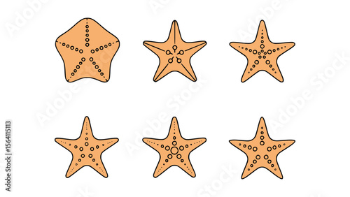A collection of detailed orange starfish illustrations, showcasing intricate patterns and shapes. The starfish, a symbol of marine life, are presented with artistic precision.