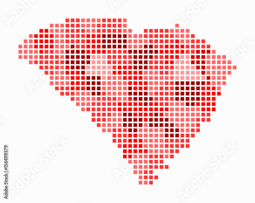 South Carolina dotted map. Digital style map of the state on white background. South Carolina shape with square dots. Colored dots style. Large size squares. Artistic vector illustration.