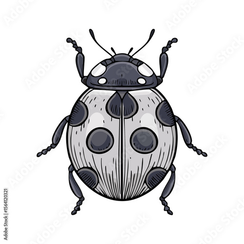 Cartoon black ladybug illustration