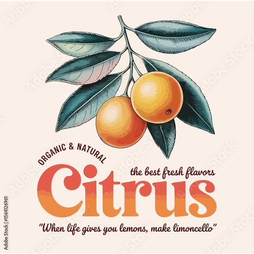 A zestful citrus graphic design featuring fresh oranges and leafy branches for branding projects, ideal for healthy food products, juice labels, or organic beverage advertisements.