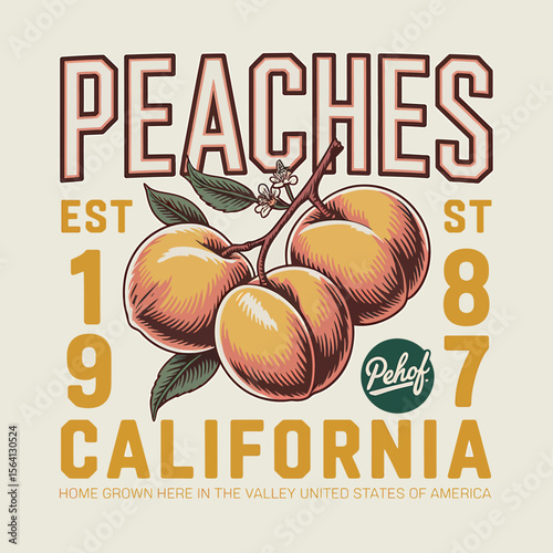 A peach design suitable for logo creation or apparel, evoking a vintage fruit harvest theme with California origins and a retro agricultural or farming aesthetic.