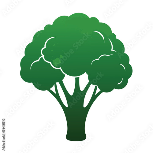  Green Broccoli Vegetable Graphic