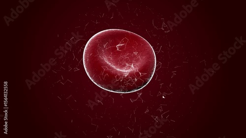 3d visualization of red blood cell and hypoglycemia effects