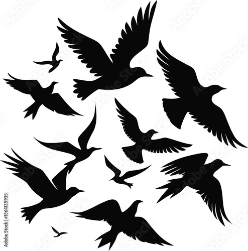 Birds silhouette bundle vector design with editable