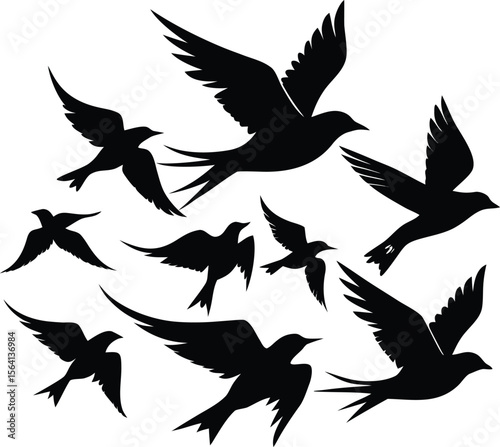 Birds silhouette bundle vector design with editable
