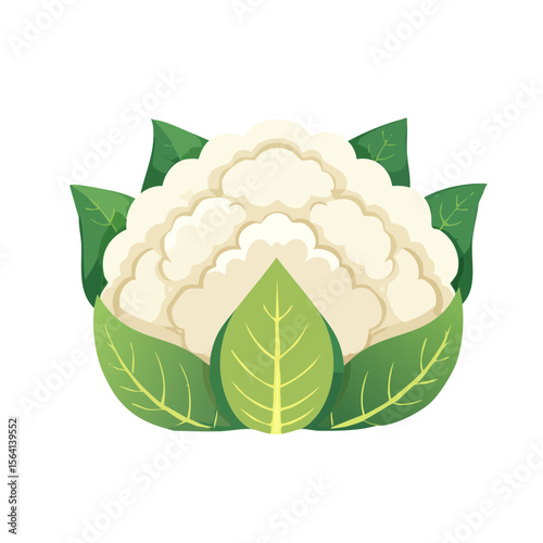 Cauliflower Food Icon Isolated on a Transparent Background