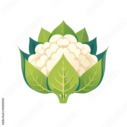 Cauliflower Food Icon Isolated on a Transparent Background