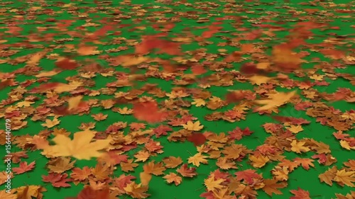cinematic slow motion of falling leaves with green screen background
