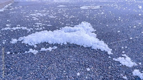 Wallpaper Mural Fluffy poplar seeds flying on the asphalt in the city at summer, bottom view. Cottonwood seeds rolls across the street on breeze. Seasonal strong allergy to pollen and tree fluff.  Torontodigital.ca