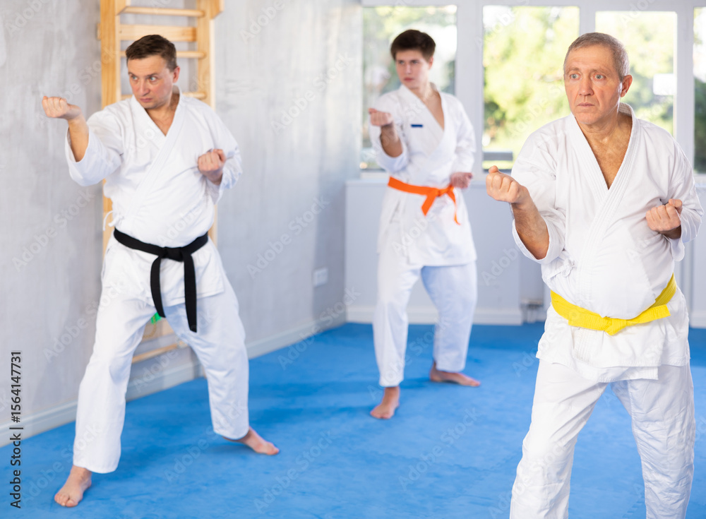 Naklejka premium Elderly man with other athletes of different ages during karate or judo classes