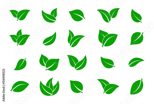 Green leaf icons set. Leaves icon. Collection green leaf. Vegan, tree, plant, fresh, energy and healthy nutrition concept.