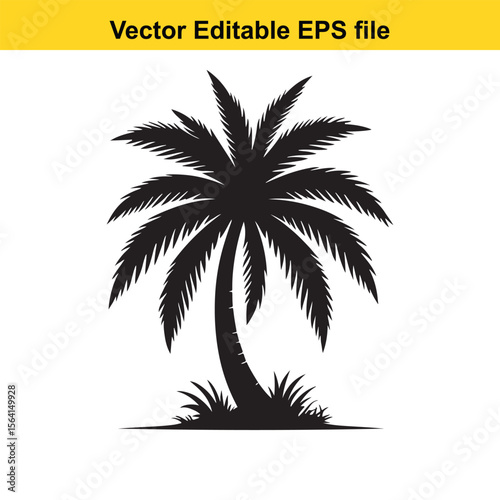 Monochrome Silhouette of a Tropical Palm Tree A Vector Graphic for logo and T-Shirt Designs	