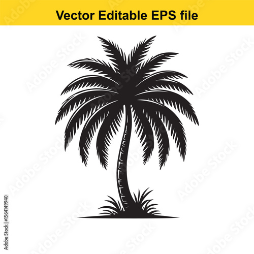 Monochrome Silhouette of a Tropical Palm Tree A Vector Graphic for logo and T-Shirt Designs	