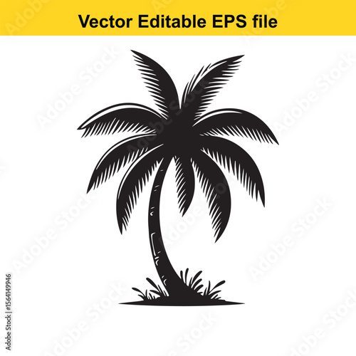 Monochrome Silhouette of a Tropical Palm Tree A Vector Graphic for logo and T-Shirt Designs	