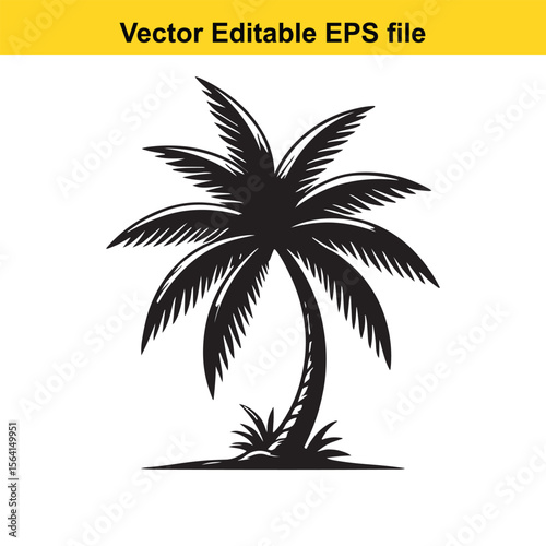 Monochrome Silhouette of a Tropical Palm Tree A Vector Graphic for logo and T-Shirt Designs	