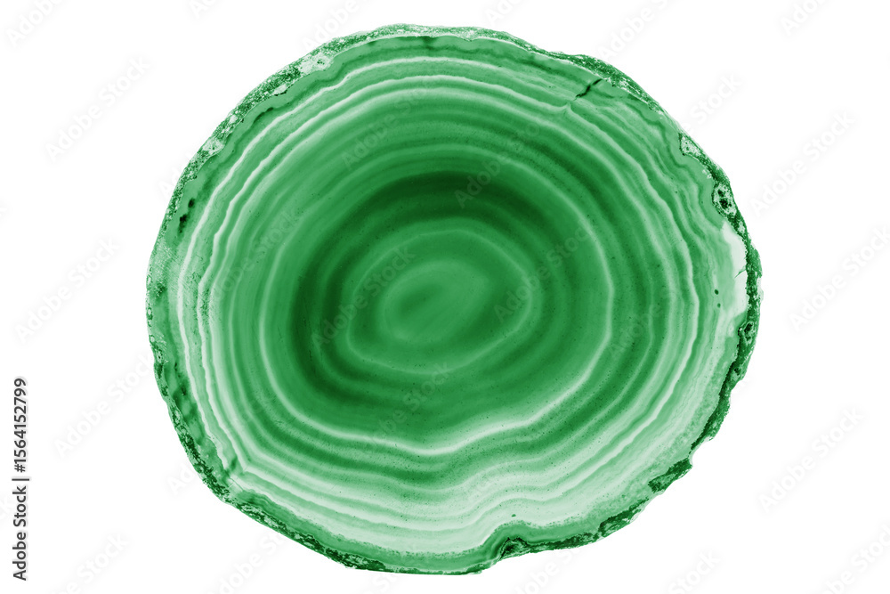 Fototapeta premium A painted Green agate slice with white veins on a white background is perfect for jewelry. Its natural layers enhance the beauty of handmade accessories.