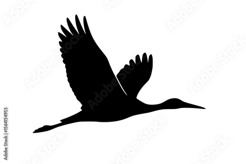 Silhouette of a Flying Bird in Black Against White Background