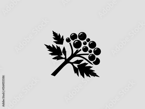 Vintage engraved coriander sprig vector logo for farmers markets or artisanal food shops