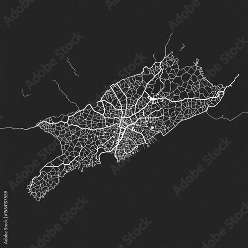 Detailed abstract map of a city with intricate street patterns on a dark background creating contrast