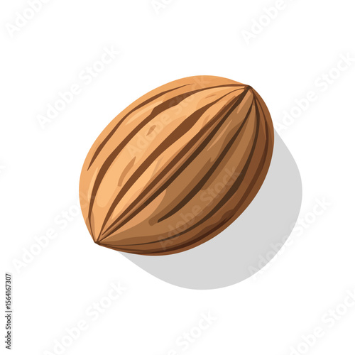 My A Simple flat 2D illustration nutmeg isolated on transparent background, vector, flat design, animation design, simple flat 2D icon, clipart, flat 2D, design by me. My vector