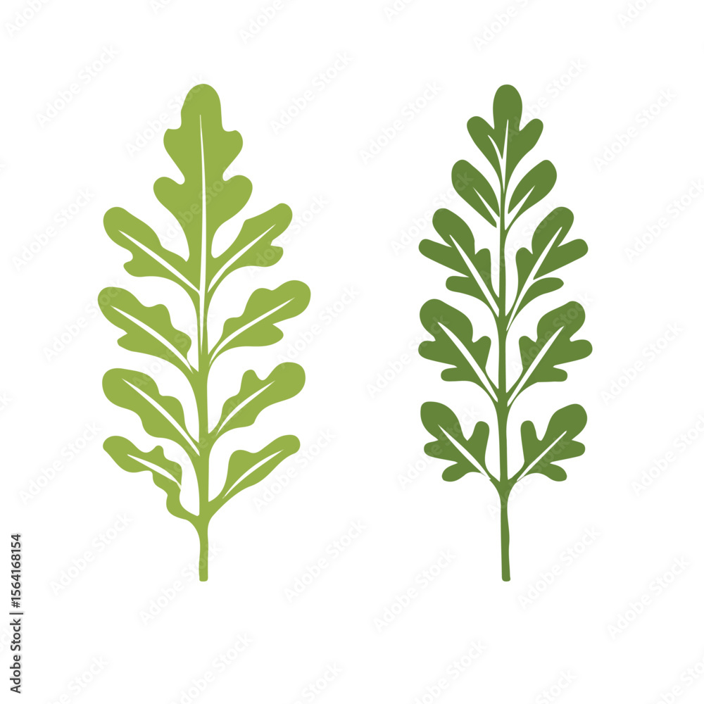 Fototapeta premium My A Simple flat 2D illustration sliced arugula leaves isolated on transparent background, vector, flat design, animation design, simple flat 2D icon, clipart, flat 2D, design by me. My vector