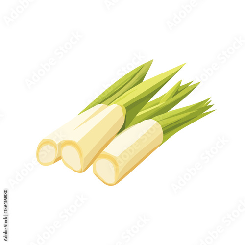 My A Simple flat 2D illustration sliced bamboo shoots isolated on transparent background, vector, flat design, animation design, simple flat 2D icon, clipart, flat 2D, design by me. My vector