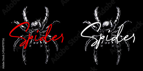 Graphic spiders illustration: A graphic illustration showcasing two contrasting spider designs, one with red text and the other with white text, each set against a black backdrop.