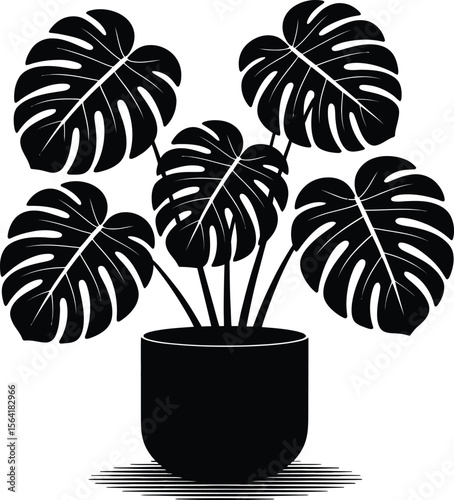 Black monstera deliciosa plant in pot vector illustration for home decor and graphic design element use