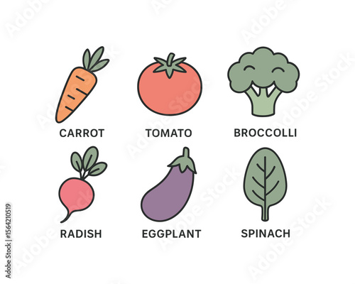 Fresh Vegetables Line Art: Carrot, Tomato, Broccoli, Radish, Eggplant, Spinach Set