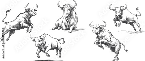 Dynamic Bulls: Illustrative Sketch Collection, Hand-Drawn Action Poses