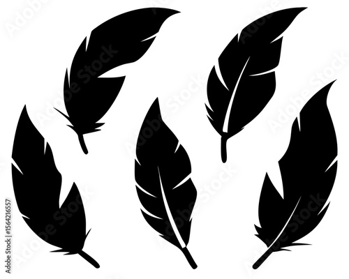 Elegant feather silhouette set, isolated black vector icons on transparent background
