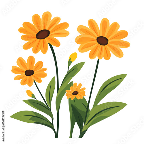 My A Simple flat 2D illustration icon calendula flowers isolated on transparent background, vector, flat design, animation design, simple flat 2D icon, clipart, design by me. My vector design