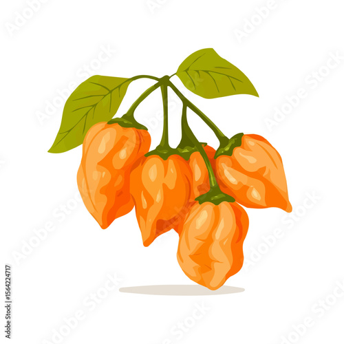 My A Simple flat 2D illustration habaneros group isolated on transparent background, vector, flat design, animation design, simple flat 2D icon, clipart, design by me. My vector design