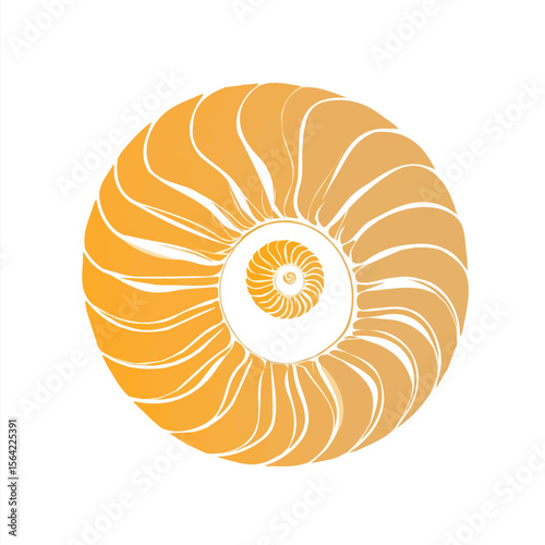 My A Simple flat 2D illustration icon spiral shell isolated on transparent background, vector, animation design, simple flat 2D clipart, design by me. My vector design