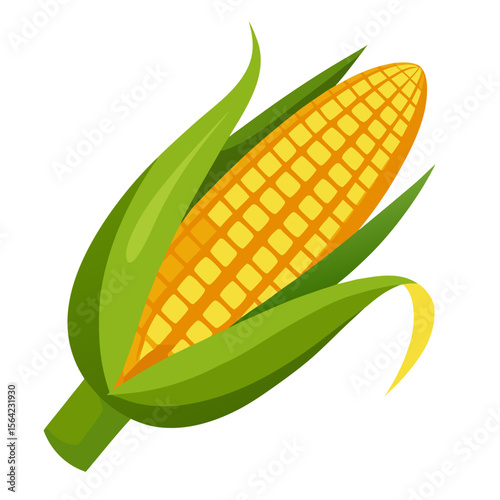 Yellow corn cob with green husks vector