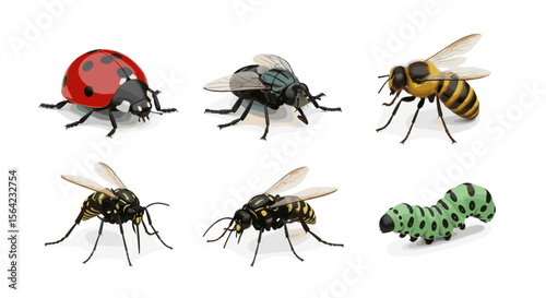 Insects ladybug fly bee wasp caterpillar nature wildlife