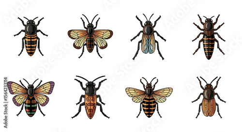 Collection of various flying insects species illustration