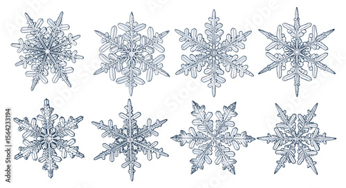 Snowflake winter ice crystal snow nature seasonal frost cold