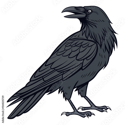 Dark raven with open beak and sharp claws crow bird