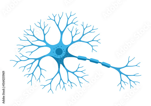 Diagram of a Neuron with Axon and Dendrites.