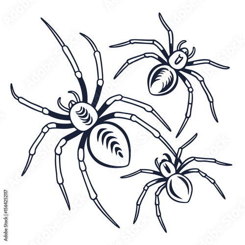 Wall Mural Spiders graphic illustration arachnid insect