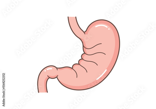 Cartoon Stomach Illustration with Pink Hue and Anatomical Details.